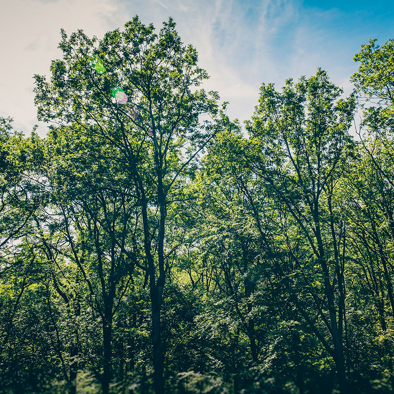 Permisos y Autorizaciones Ambientales